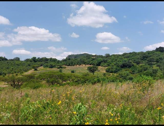 FARM FOR SALE IN NELSPRUIT RURAL